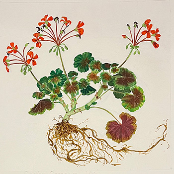 9480 - Botanical Watercolor
